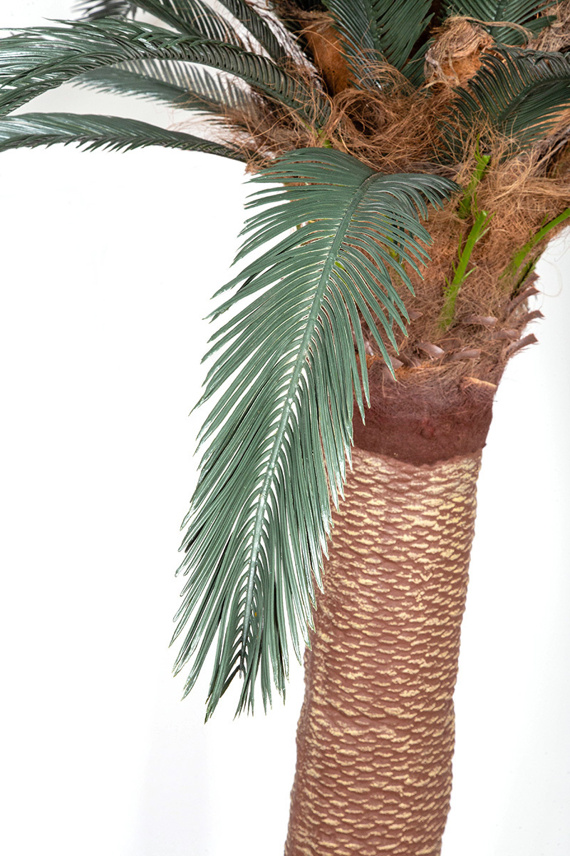 Palma sztuczna Cykas Sagowiec