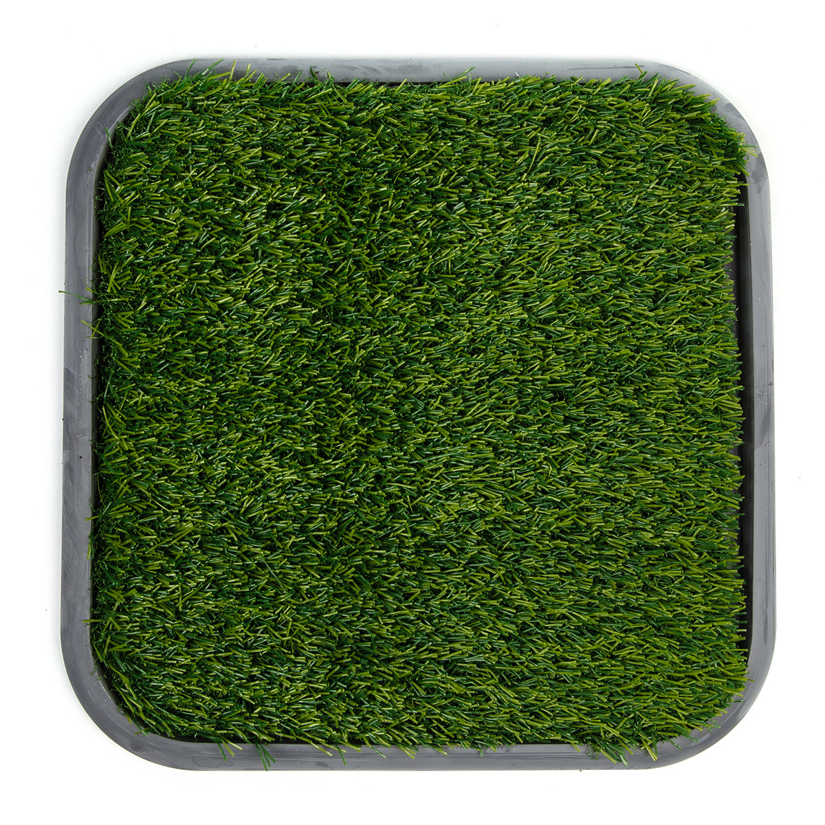 Ścieżka sensoryczna Original