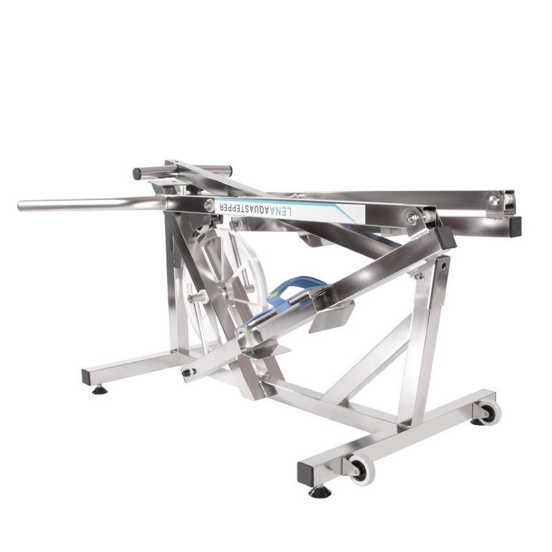 Aqua Stepper Lena ECONOMIC