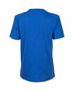 Koszulka sportowa Arena Team Panel Junior