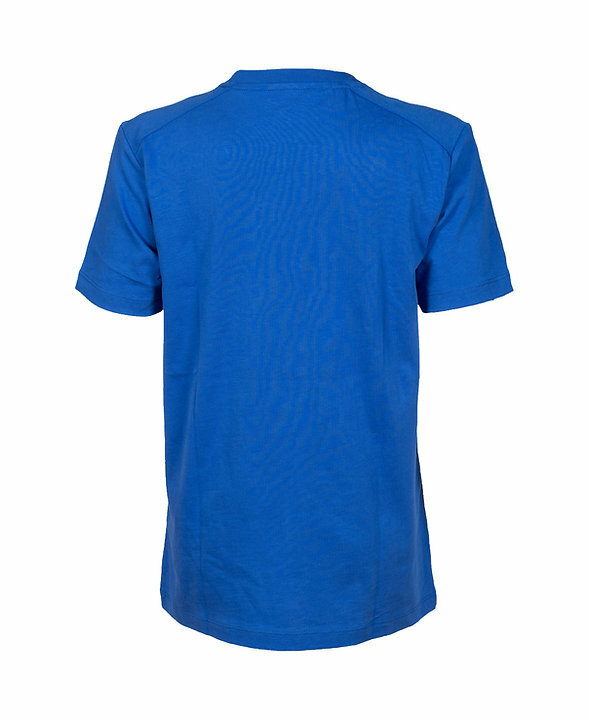 Koszulka sportowa Arena Team Panel Junior