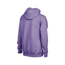 BLUZA ARENA TEAM HOODED SWEAT PANEL LAVANDA