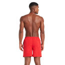 ZOGGS SZORTY PENRITH 15